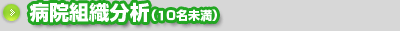 病院組織分析（１０名未満）